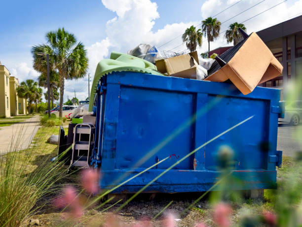 Best Office Junk Removal  in Paw Paw, MI